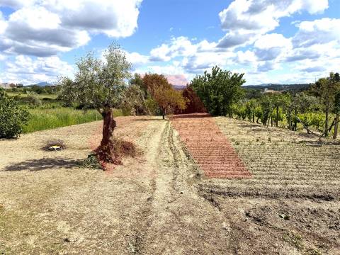 Moradia T3 Venda em Tábua,Tábua