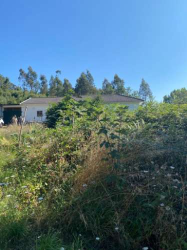 Quinta em Santa Maria da Feira