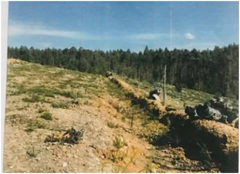 Quinta em Santa Maria da Feira