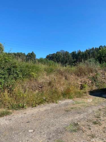 Quinta em Santa Maria da Feira