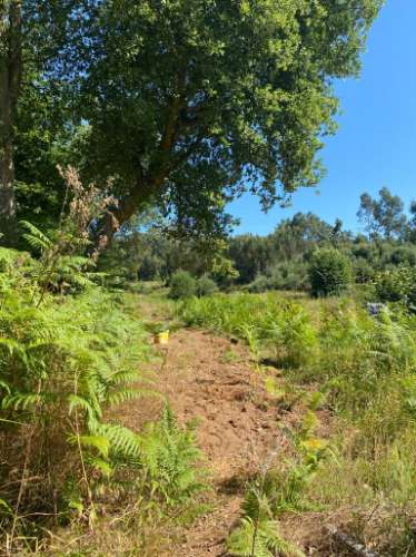 Quinta em Santa Maria da Feira