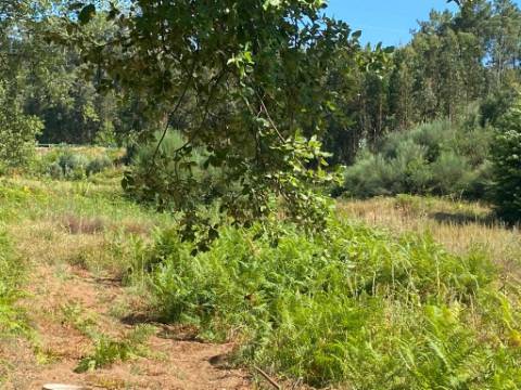 Quinta em Santa Maria da Feira