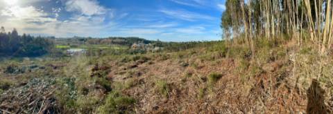Terreno urbano em Sandim para construção