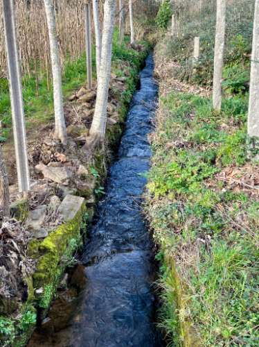 Terreno urbano em Sandim para construção