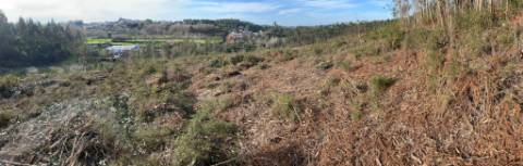 Terreno urbano em Sandim para construção