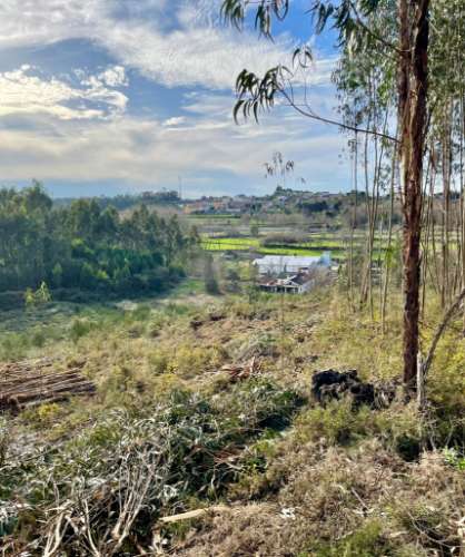 Terreno urbano em Sandim para construção