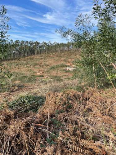 Terreno urbano em Sandim para construção
