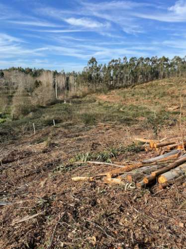 Terreno urbano em Sandim para construção