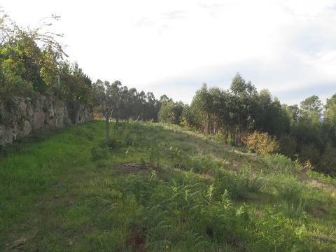 3 prédios urbanos e terreno rústicos em Rande - freguesia de Sobretâmega