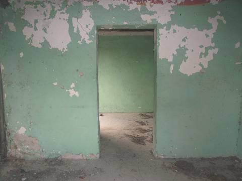 Terreno de 20000m2 com Casa de um pavimento com 6 divisões em Moira - freguesia de Constance