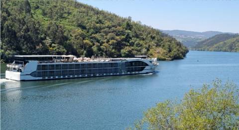 Quinta no Douro com Projeto Hoteleiro | Vista Rio | Praia Privativa | Sebolido