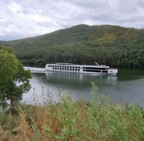 Quinta no Douro com Projeto Hoteleiro | Vista Rio | Praia Privativa | Sebolido