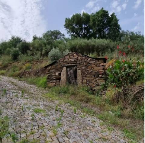 Quinta no Douro com Projeto Hoteleiro | Vista Rio | Praia Privativa | Sebolido