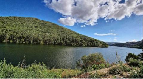 Quinta no Douro com Projeto Hoteleiro | Vista Rio | Praia Privativa | Sebolido