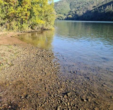 Quinta no Douro com Projeto Hoteleiro | Vista Rio | Praia Privativa | Sebolido