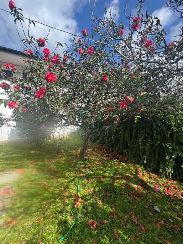 Moradia Independente para Arrendamento na Avenida da Boavista, Porto