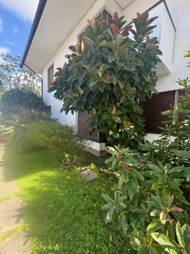 Moradia Independente para Arrendamento na Avenida da Boavista, Porto