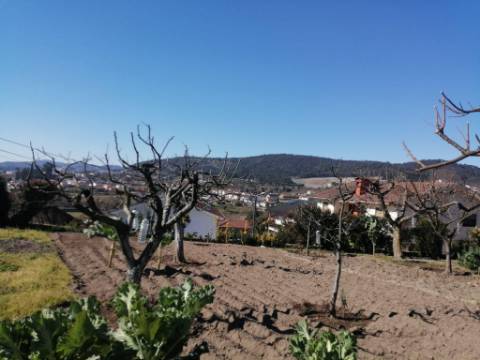 Quinta Senhorial em Pedra com Jardim, Terreno e Vista Desafogada - Um Refúgio de Charme e Tradição