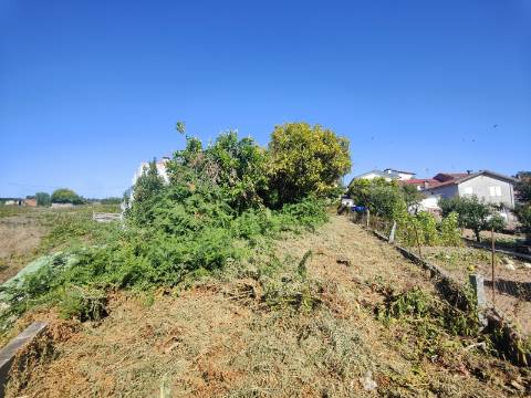 Moradia para Restaurar