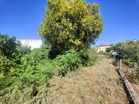 Moradia para Restaurar