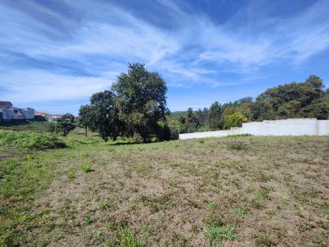 Terreno com viabilidade de construção, Paços de Brandão
