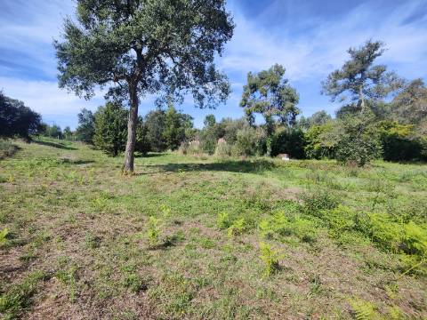 Terreno com viabilidade de construção, Paços de Brandão