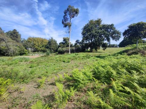 Terreno com viabilidade de construção, Paços de Brandão