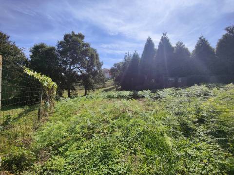 Terreno com viabilidade de construção, Paços de Brandão