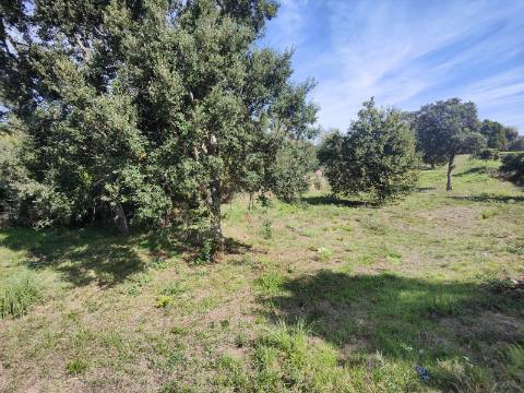 Terreno com viabilidade de construção, Paços de Brandão