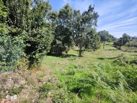 Terreno com viabilidade de construção, Paços de Brandão