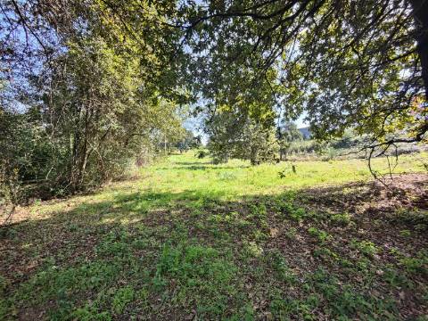 Terreno com viabilidade de construção, Paços de Brandão