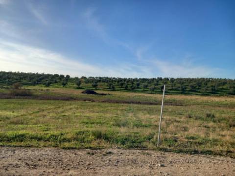 Herdade com 240 hectares - BAIXO ALENTEJO (zona de Mourão)