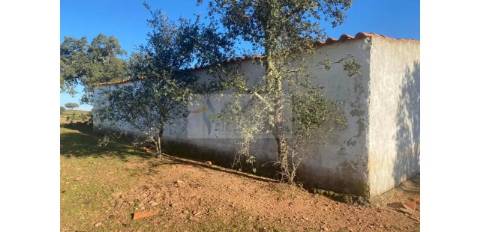 Propriedade em Santa Iria/Serpa - Excelente oportunidade para quem deseja investir em turismo rural