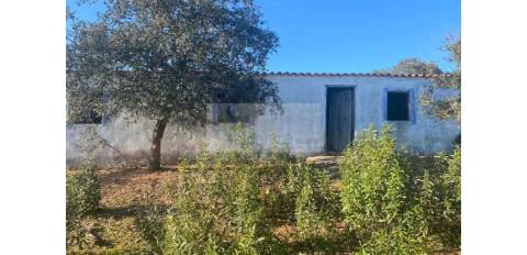 Propriedade em Santa Iria/Serpa - Excelente oportunidade para quem deseja investir em turismo rural