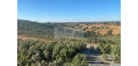 Propriedade em Santa Iria/Serpa - Excelente oportunidade para quem deseja investir em turismo rural