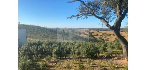 Propriedade em Santa Iria/Serpa - Excelente oportunidade para quem deseja investir em turismo rural