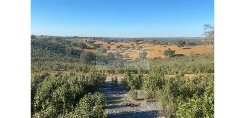 Propriedade em Santa Iria/Serpa - Excelente oportunidade para quem deseja investir em turismo rural