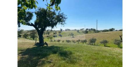 Propriedade com 6,625 hectares em Serpa / Baixo Alentejo