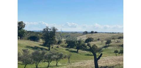 Propriedade com 6,625 hectares em Serpa / Baixo Alentejo