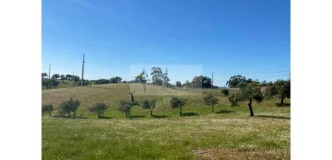 Propriedade com 6,625 hectares em Serpa / Baixo Alentejo