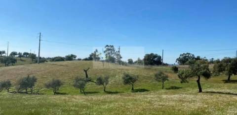 Propriedade com 6,625 hectares em Serpa / Baixo Alentejo