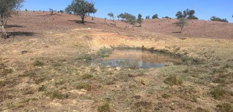 Propriedade com 6,625 hectares em Serpa / Baixo Alentejo