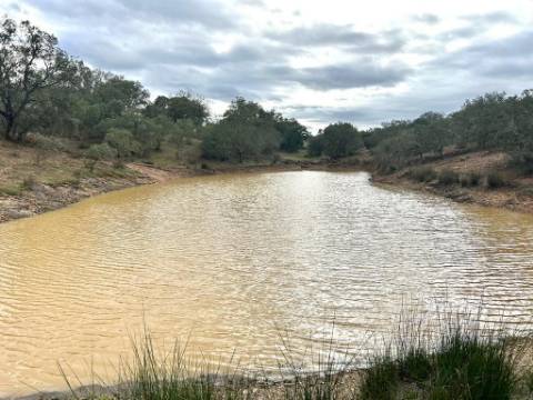 Monte Tipicamente Alentejano - 13 hectares - Baixo Alentejo (Vila Verde de Ficalho)