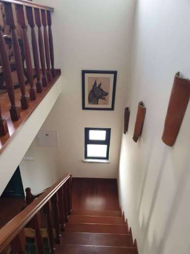 Magnífica Moradia T4 com Quintal - Vale de Vargo (Serpa)