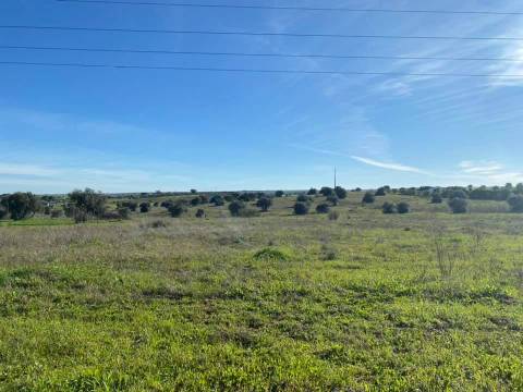 Herdade com 18 Hectares para Venda - próximo à cidade de Beja