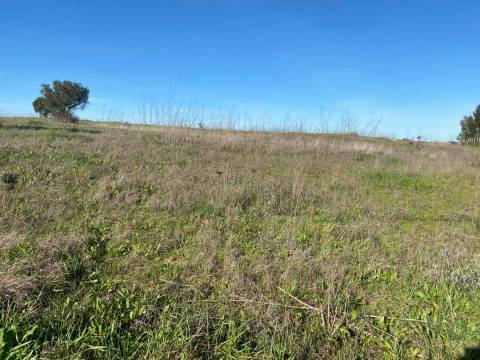 Herdade com 18 Hectares para Venda - próximo à cidade de Beja