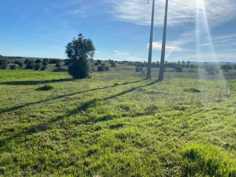 Herdade com 18 Hectares para Venda - próximo à cidade de Beja