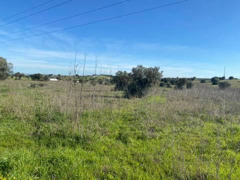 Herdade com 18 Hectares para Venda - próximo à cidade de Beja