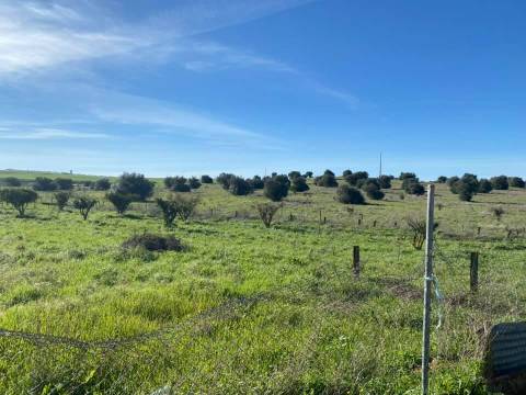 Herdade com 18 Hectares para Venda - próximo à cidade de Beja