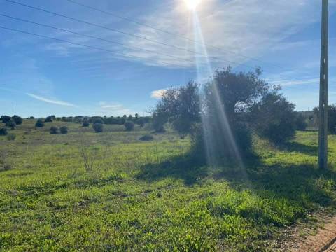 Herdade com 18 Hectares para Venda - próximo à cidade de Beja